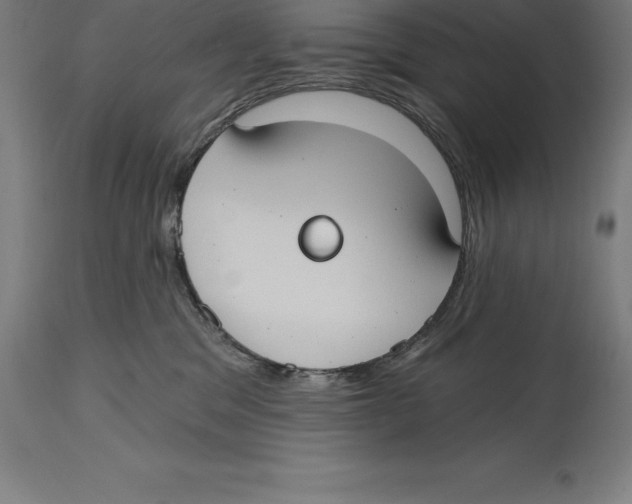 X0000114730329200911181435