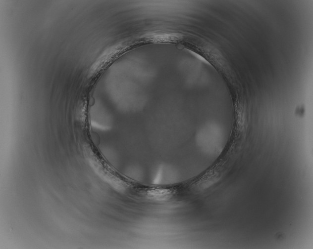 X0000114730357200911181434