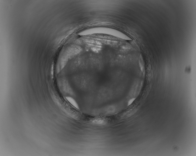 X0000114730358200911181434