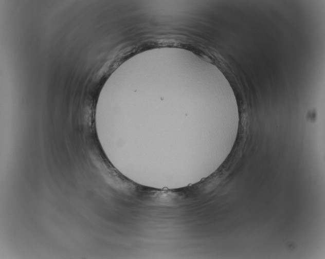 X0000114730379200911181434