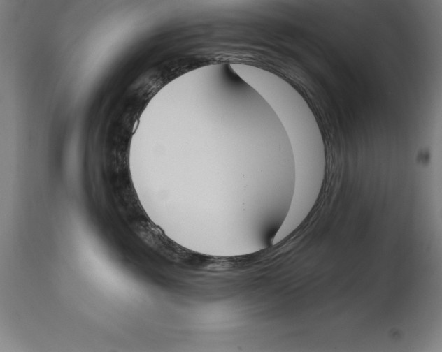 X0000114730381200911181434