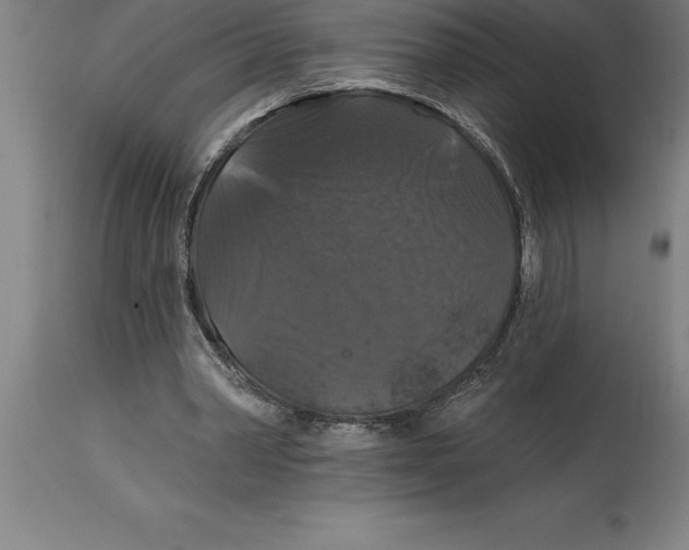 X0000114730390200911181434