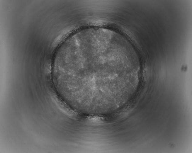 X0000114730407200911181434