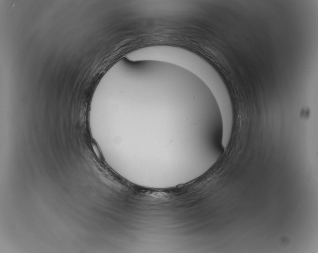 X0000114730409200911181433