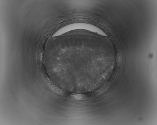 X0000114730417200911181433