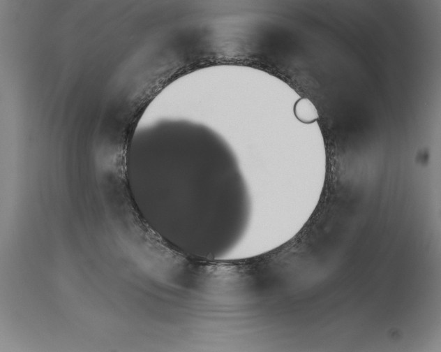 X0000114730419200911181433