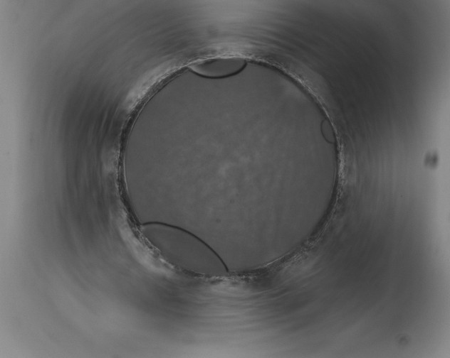 X0000114730434200911181432