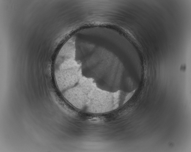 X0000114730447200911181432