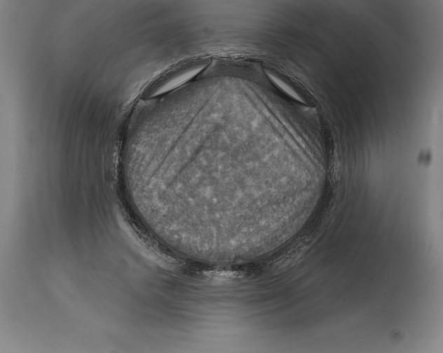 X0000114730448200911181432