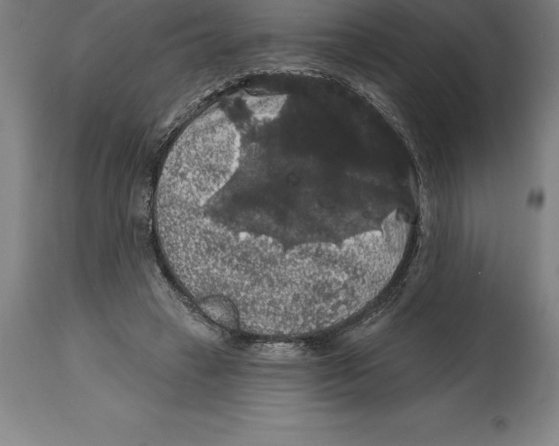 X0000114730449200911181432