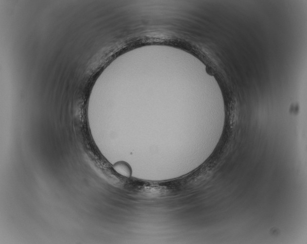 X0000114730455200911181433