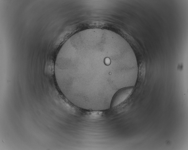 X0000114730474200911181433