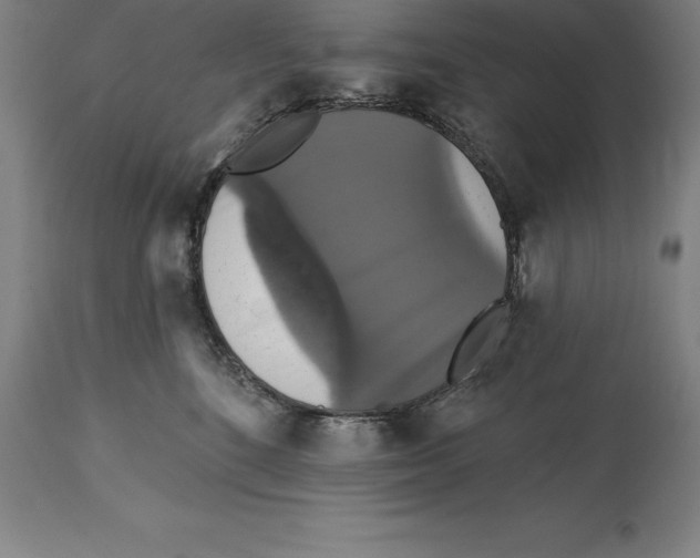 X0000114730520200911181431