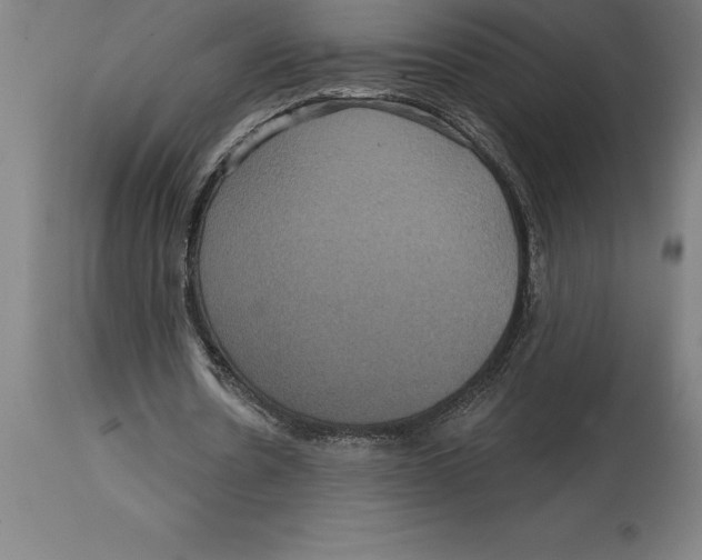 X0000114730530200911181431