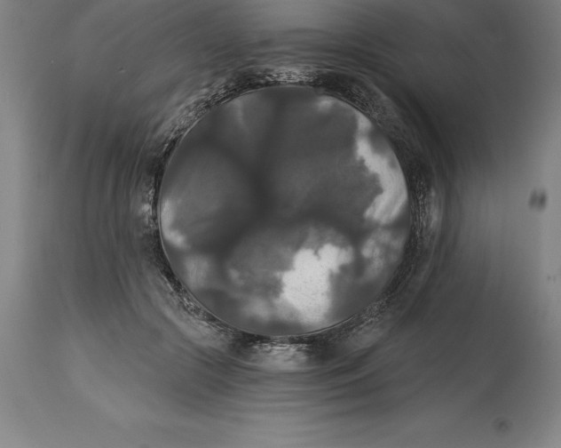 X0000114730553200911181431