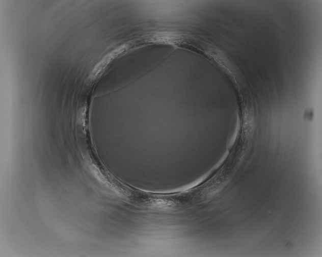 X0000114730585200911181431