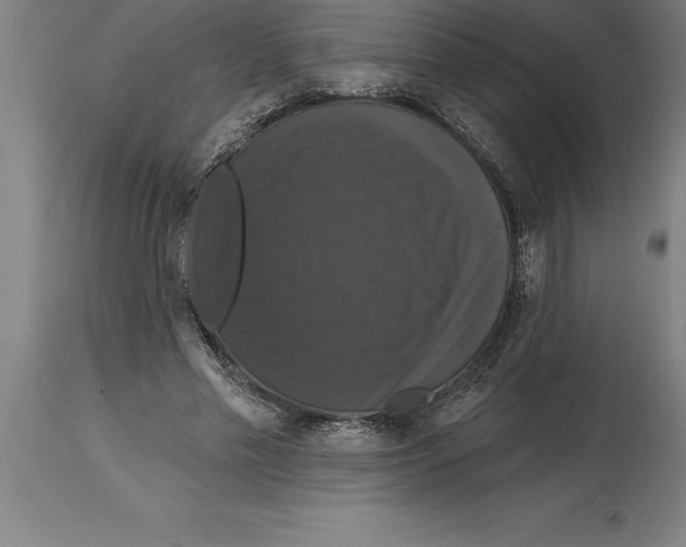 X0000114730589200911181430