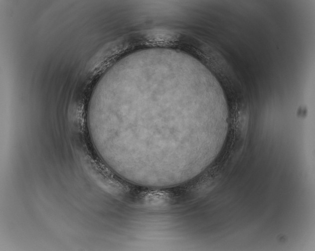 X0000114730599200911181430