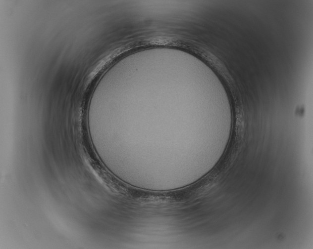 X0000114730626200911181429