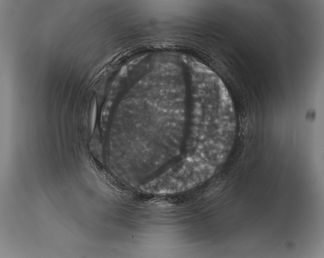 X0000114730648200911181430