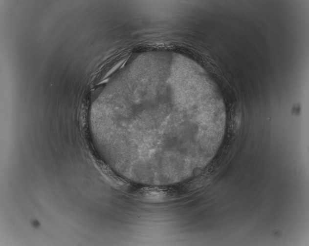 X0000114730658200911181430