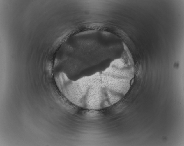 X0000114730669200911181430