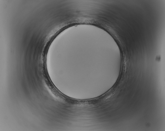 X0000114730674200911181429