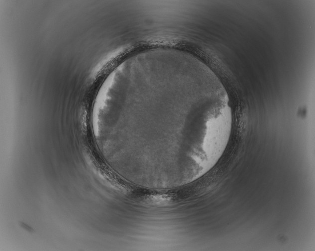 X0000114730692200911181429