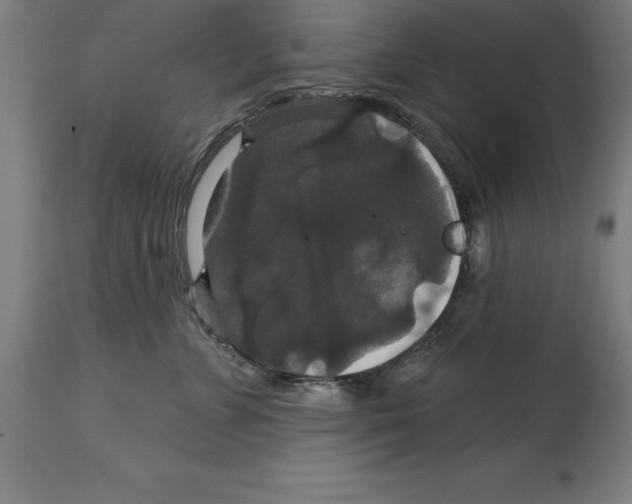 X0000114730715200911181429