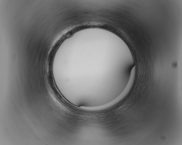 X0000114730726200911181428