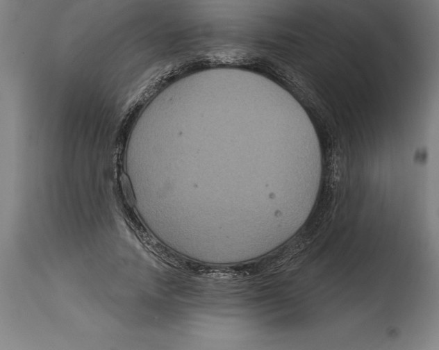 X0000114730738200911181428