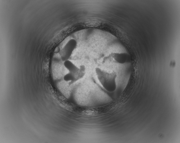 X0000114730745200911181428