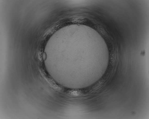 X0000114730755200911181428