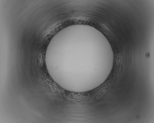 X0000114730774200911181428