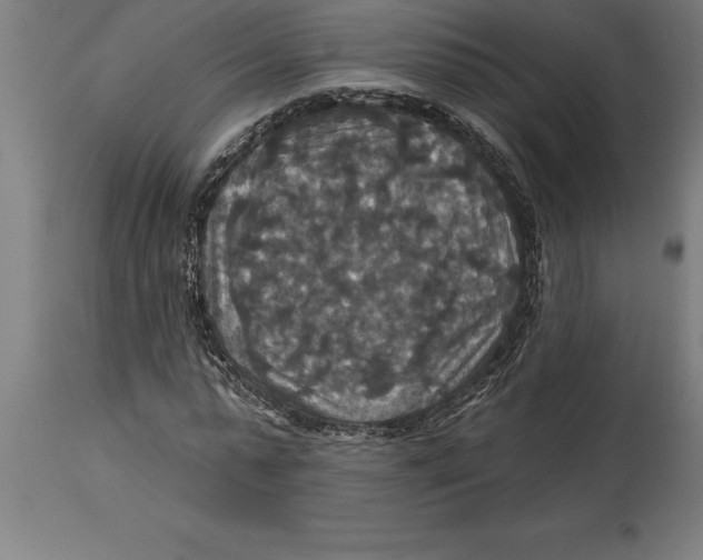 X0000114730775200911181428