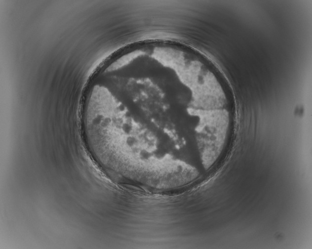 X0000114730783200911181428