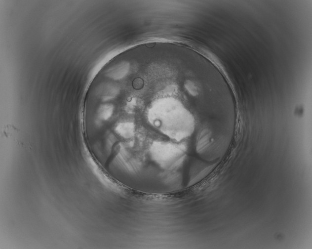 X0000114730811200911181427