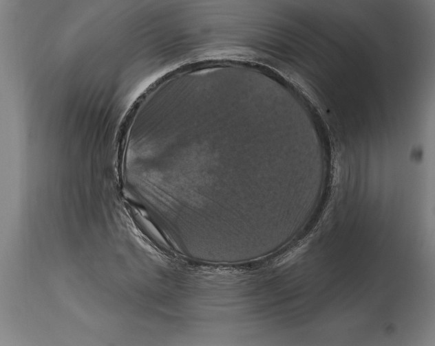 X0000114730830200911181427