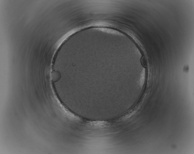 X0000114730853200911181427