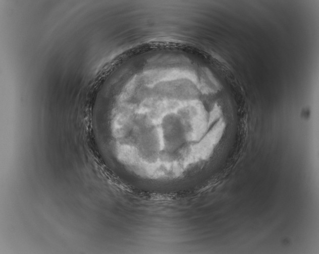 X0000114730870200911181426