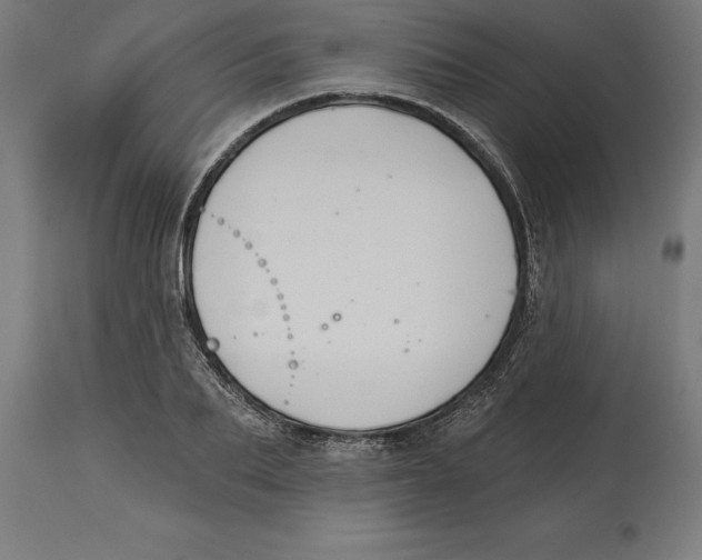 X0000114730887200911181426