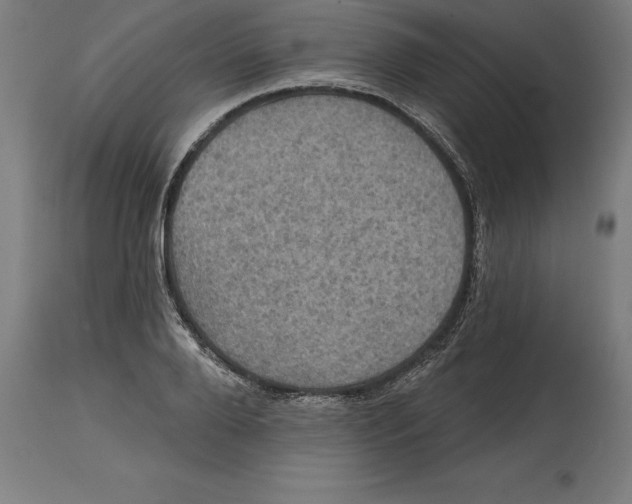 X0000114730888200911181426