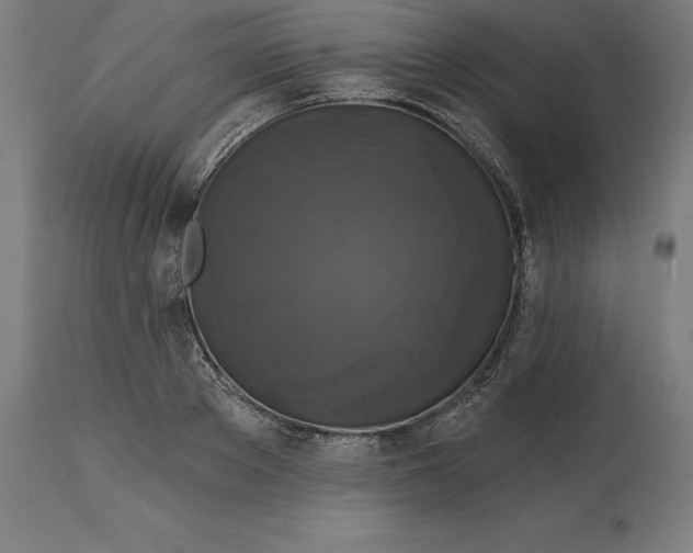 X0000114730889200911181426