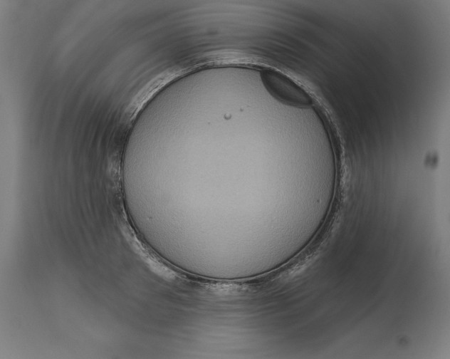 X0000114730897200911181426