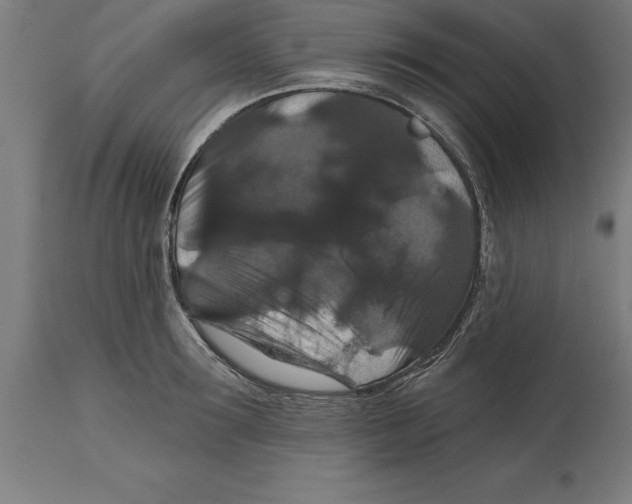 X0000114730899200911181426