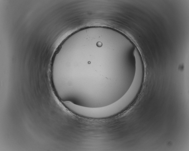 X0000114730901200911181426