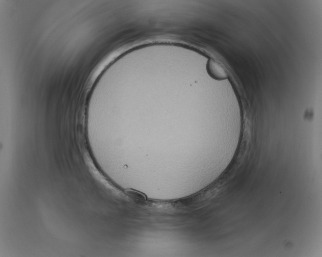 X0000114730911200911181426