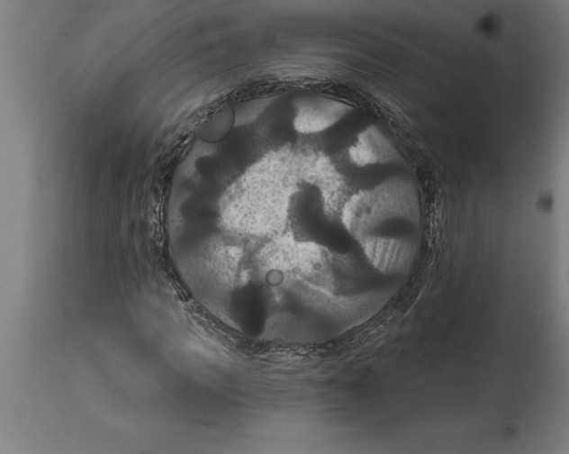 X0000114730917200911181425