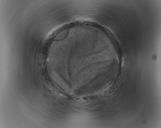 X0000114730919200911181425