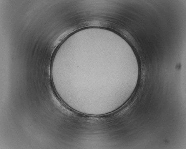 X0000114730938200911181425